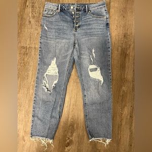 Wild Fable high rise straight ankle women’s jean - size 12